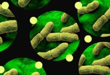 Розуміння ризиків: нещодавній випадок захворювання на чуму в Аризоні